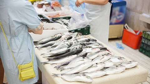 Peixe: conselhos para comprar e conservar